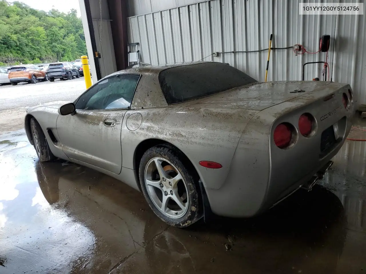2000 Chevrolet Corvette VIN: 1G1YY12G0Y5124756 Lot: 61804935