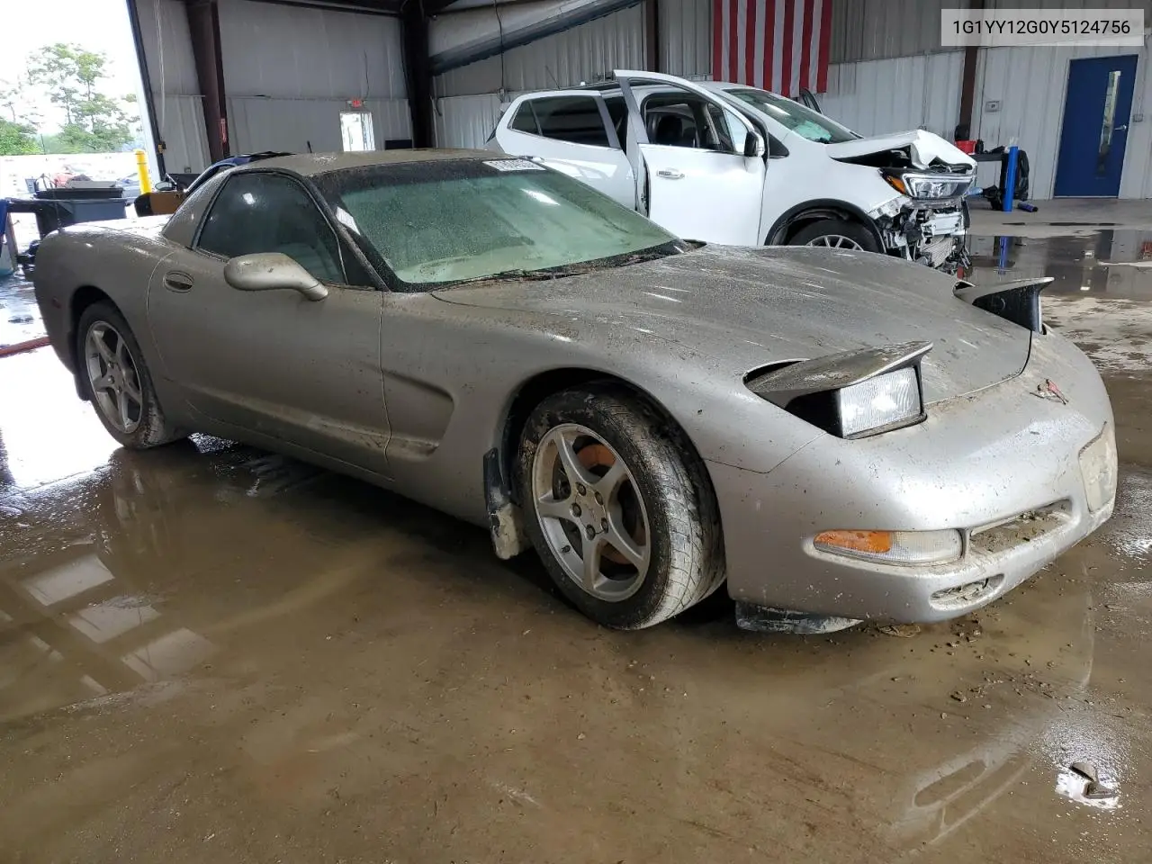 2000 Chevrolet Corvette VIN: 1G1YY12G0Y5124756 Lot: 61804935