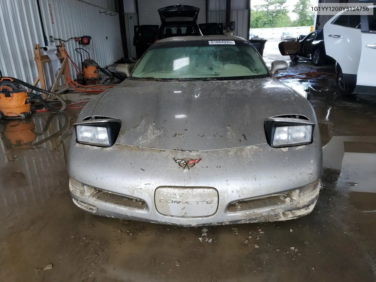 2000 Chevrolet Corvette VIN: 1G1YY12G0Y5124756 Lot: 61804935