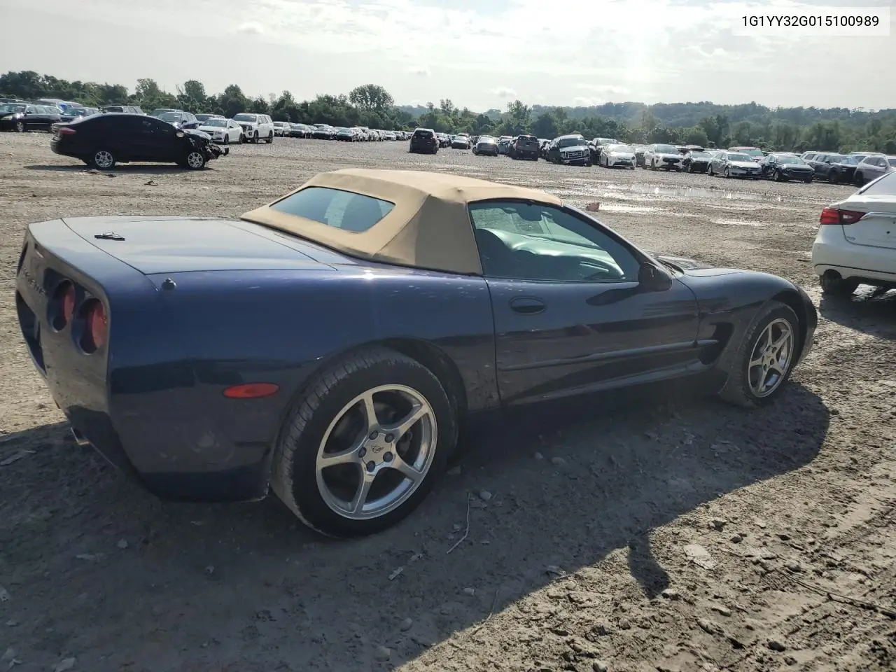 2001 Chevrolet Corvette VIN: 1G1YY32G015100989 Lot: 65781365
