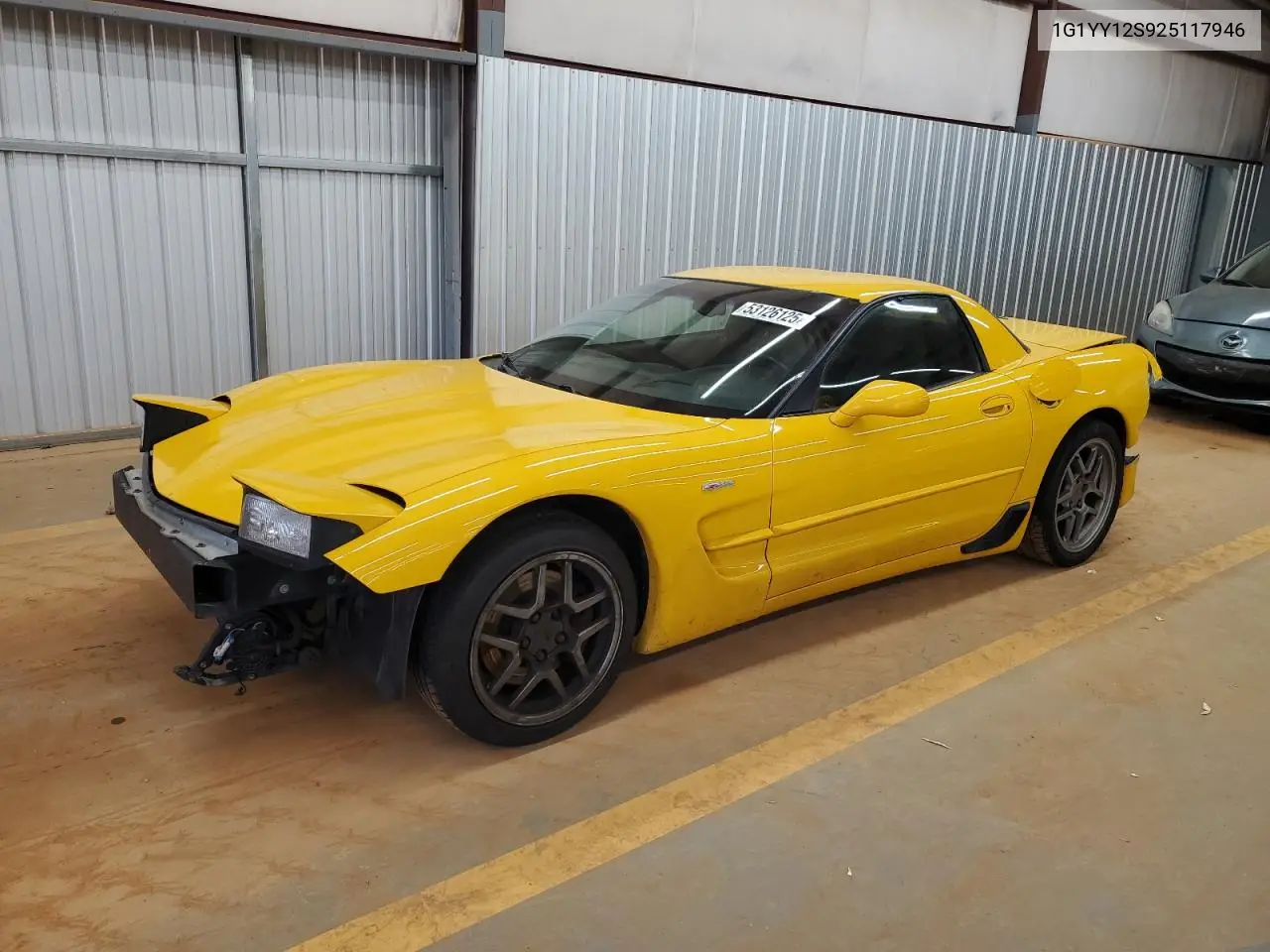 2002 Chevrolet Corvette Z06 VIN: 1G1YY12S925117946 Lot: 53126125