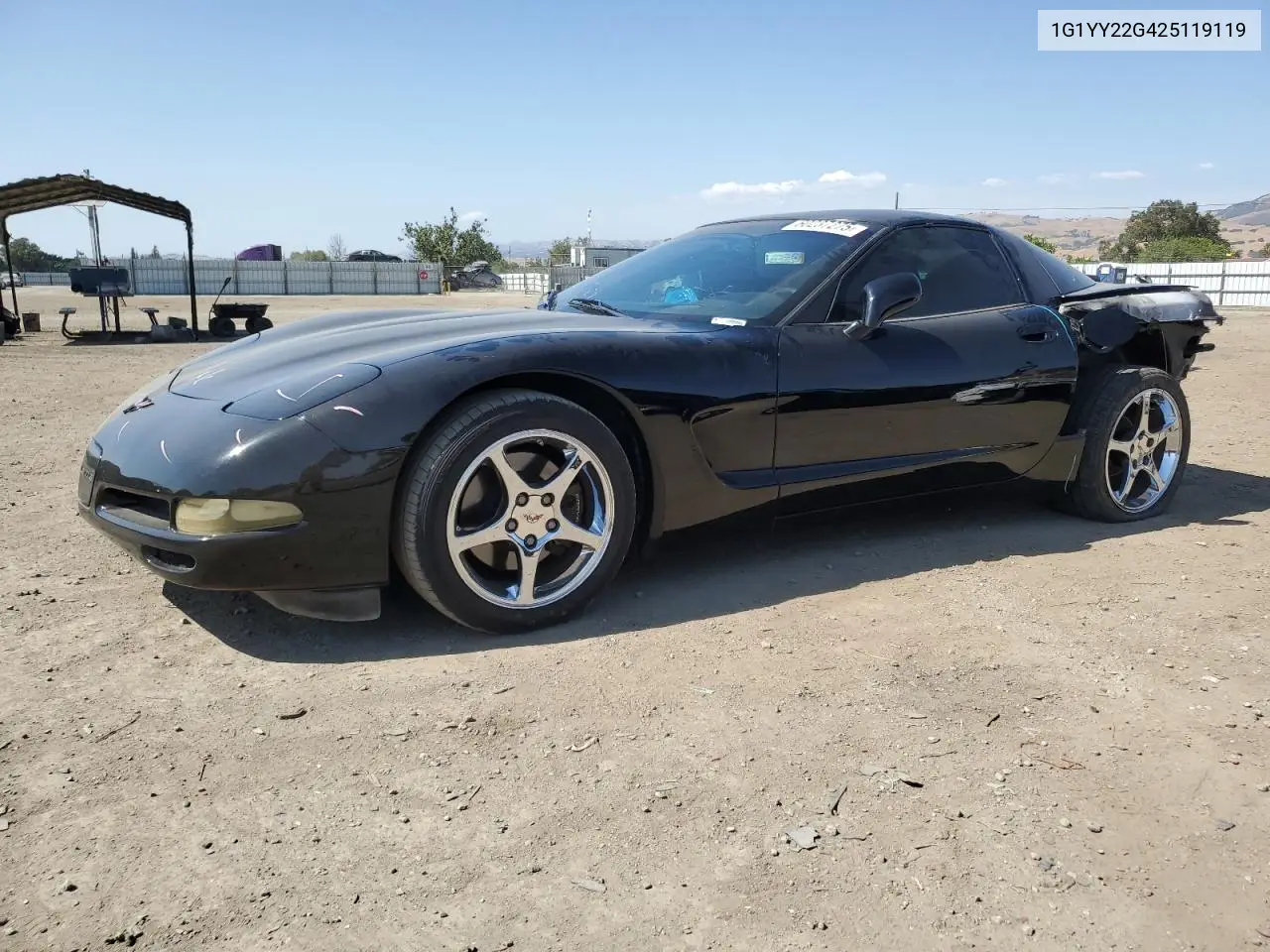 2002 Chevrolet Corvette VIN: 1G1YY22G425119119 Lot: 60237275