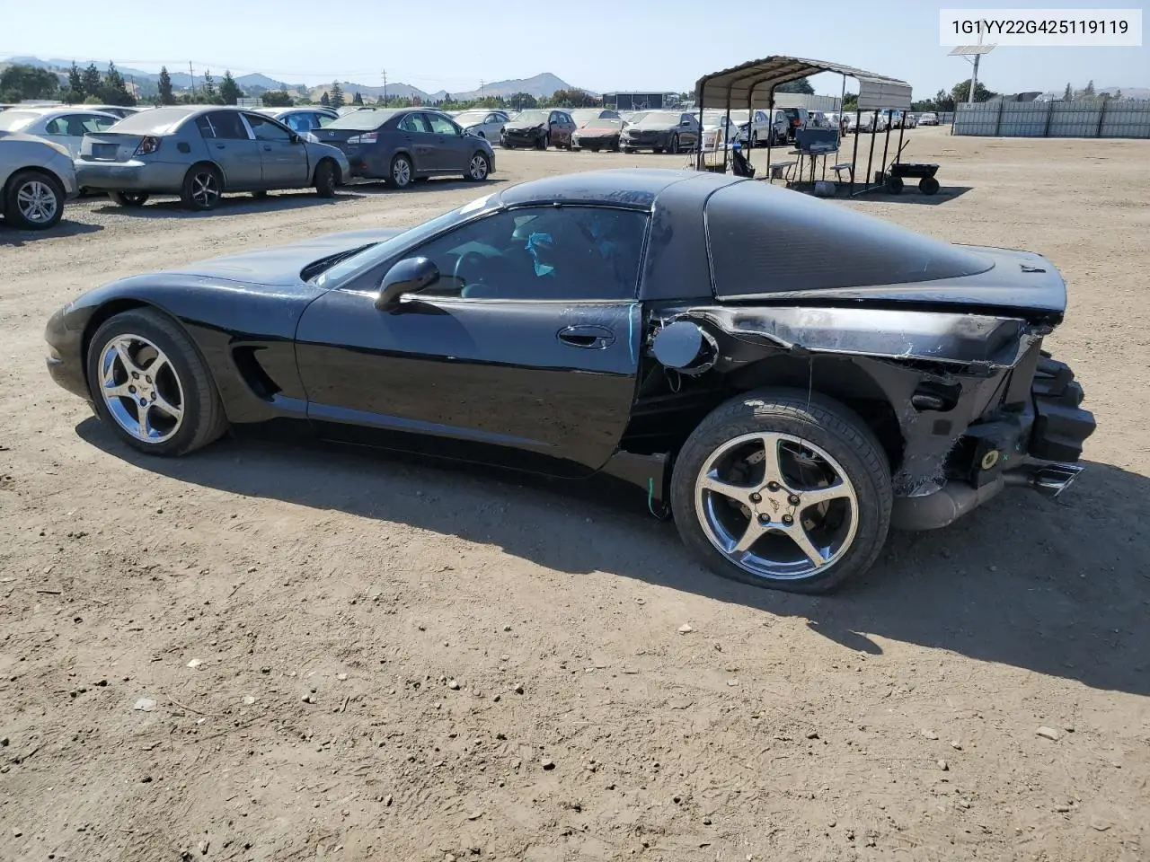 2002 Chevrolet Corvette VIN: 1G1YY22G425119119 Lot: 60237275