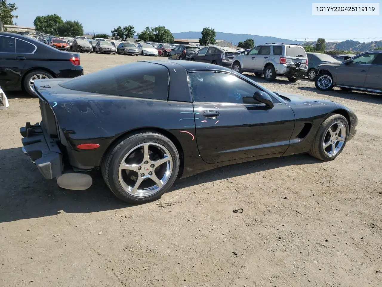 2002 Chevrolet Corvette VIN: 1G1YY22G425119119 Lot: 60237275