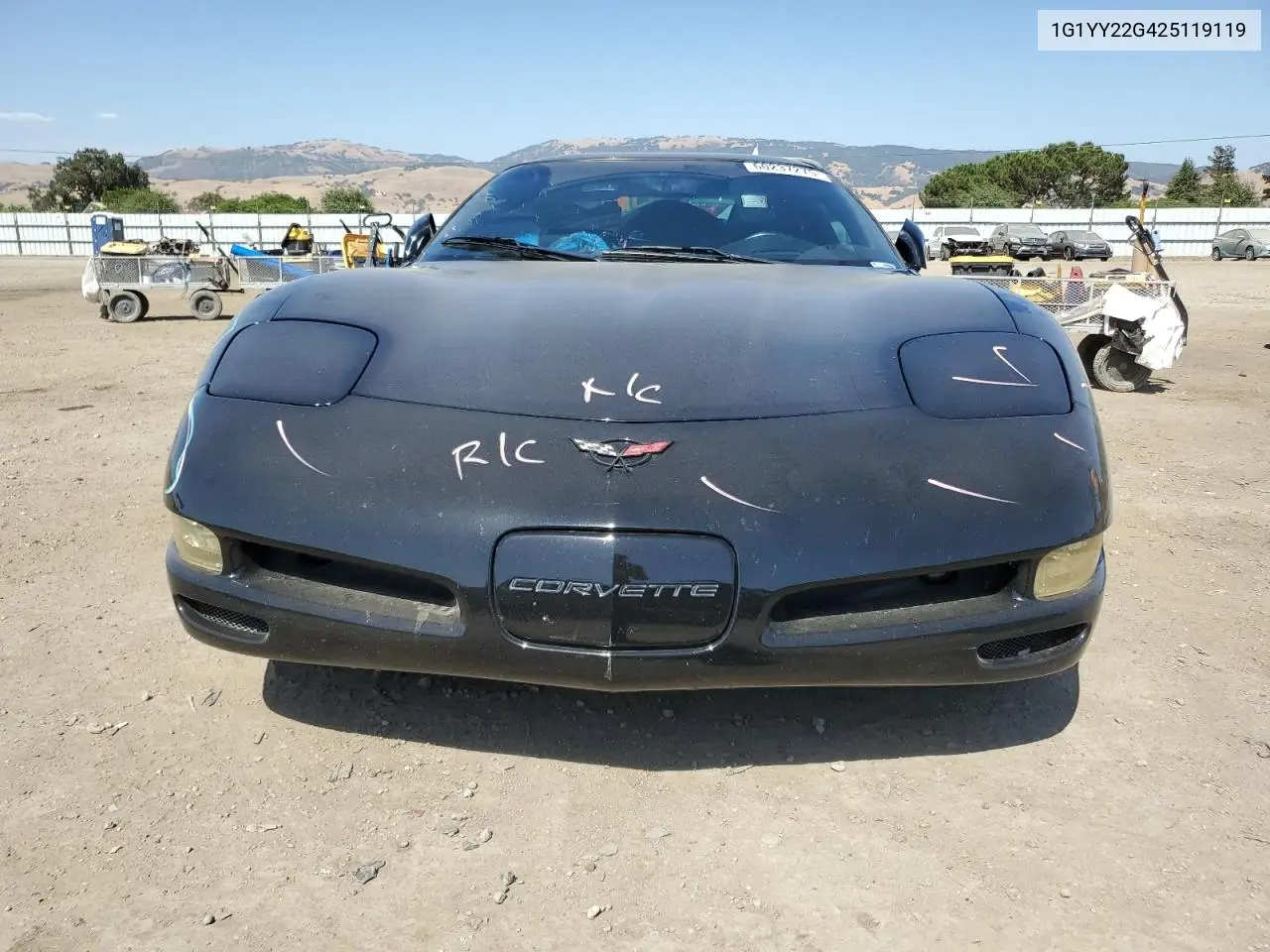 2002 Chevrolet Corvette VIN: 1G1YY22G425119119 Lot: 60237275
