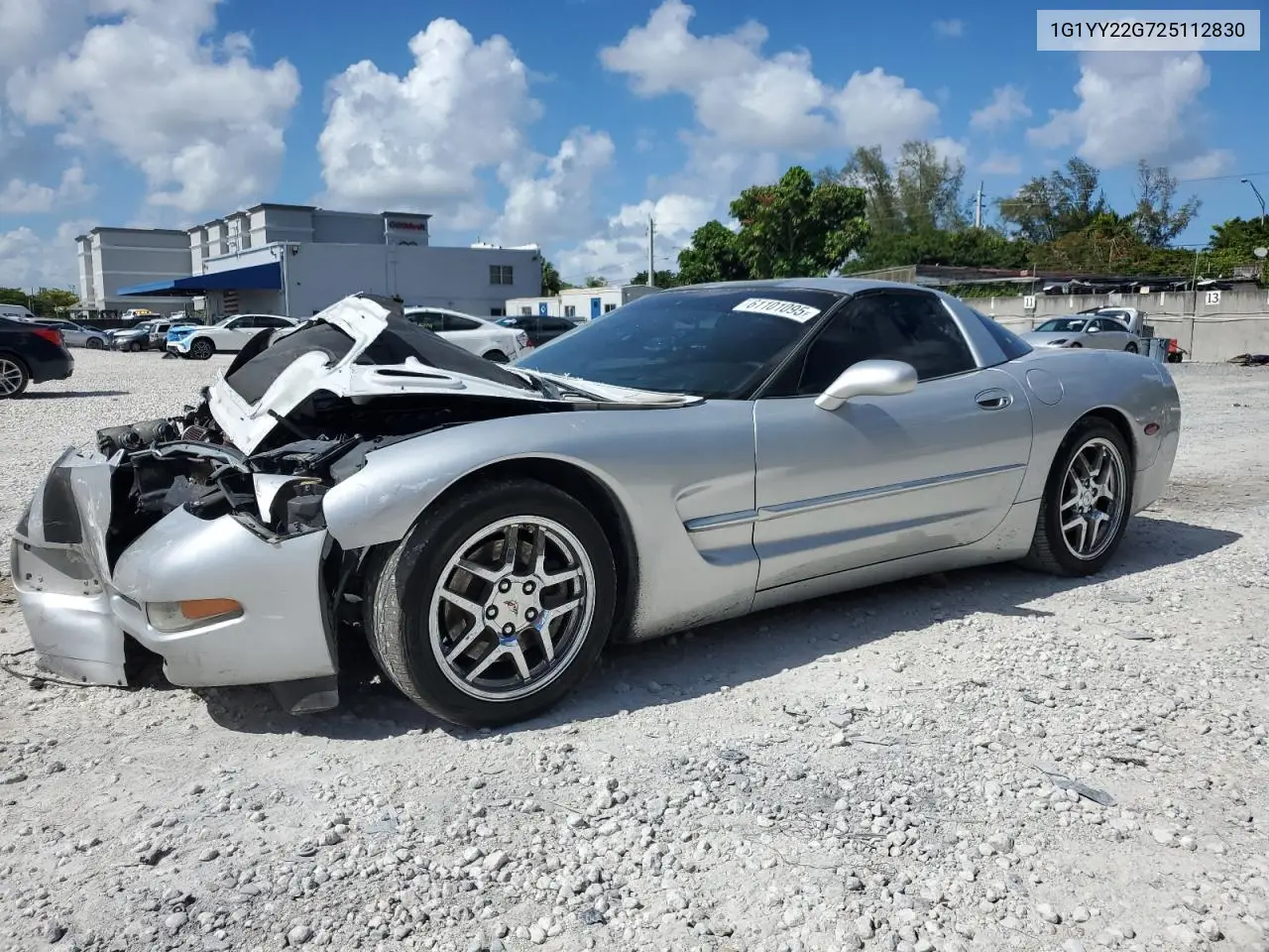 2002 Chevrolet Corvette VIN: 1G1YY22G725112830 Lot: 61101095