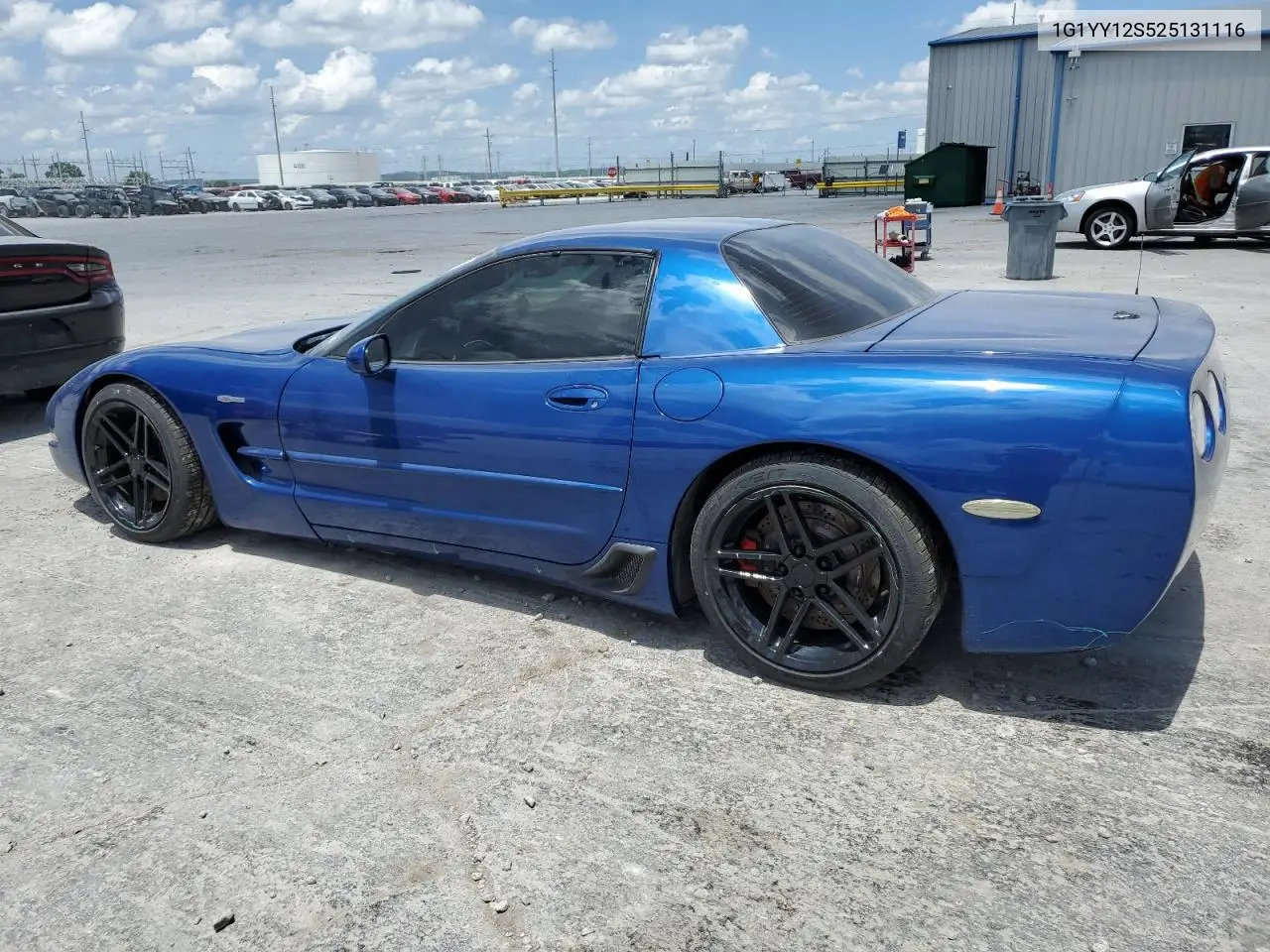 2002 Chevrolet Corvette Z06 VIN: 1G1YY12S525131116 Lot: 61766155
