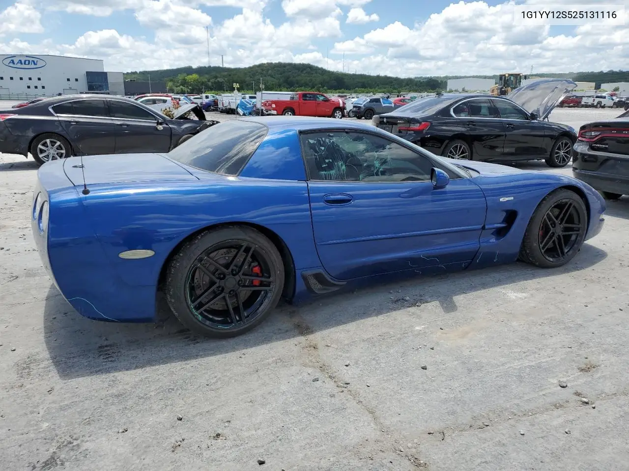 2002 Chevrolet Corvette Z06 VIN: 1G1YY12S525131116 Lot: 61766155