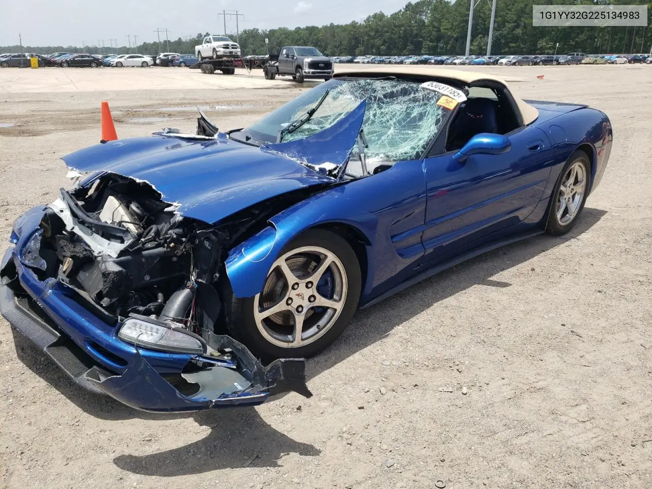 2002 Chevrolet Corvette VIN: 1G1YY32G225134983 Lot: 63031185
