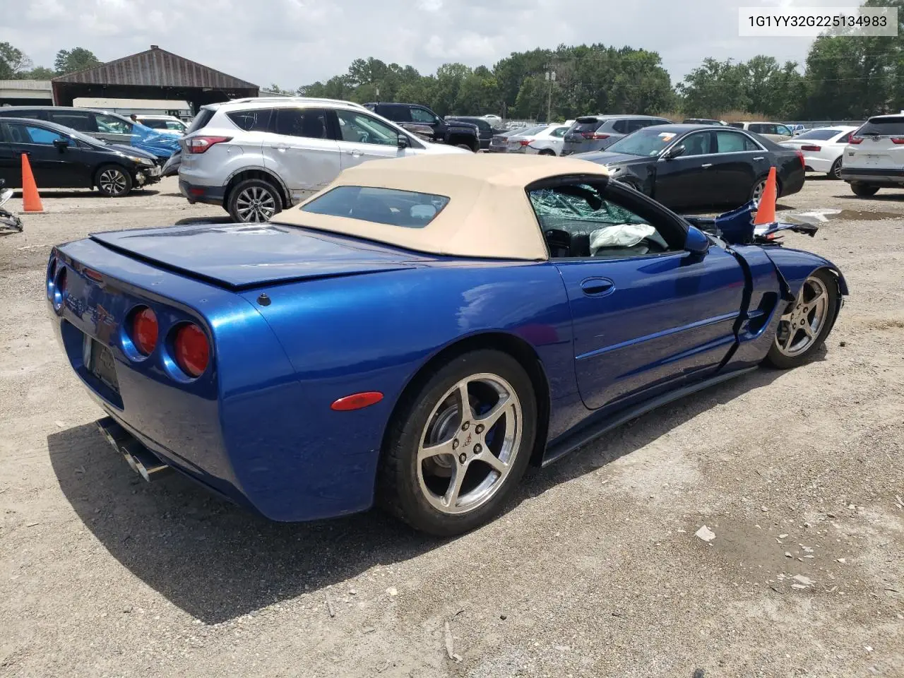 2002 Chevrolet Corvette VIN: 1G1YY32G225134983 Lot: 63031185