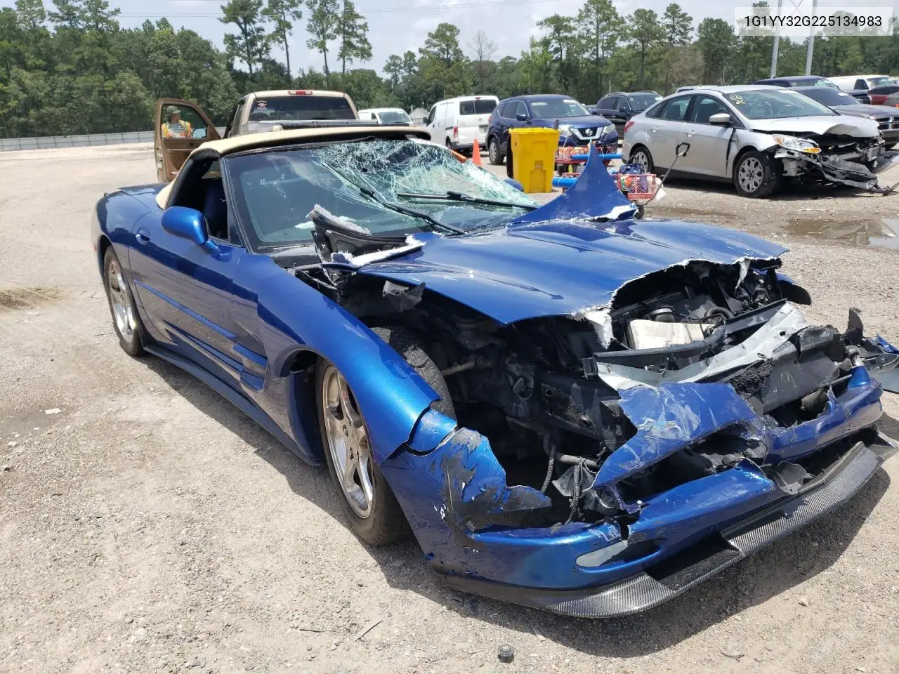 2002 Chevrolet Corvette VIN: 1G1YY32G225134983 Lot: 63031185
