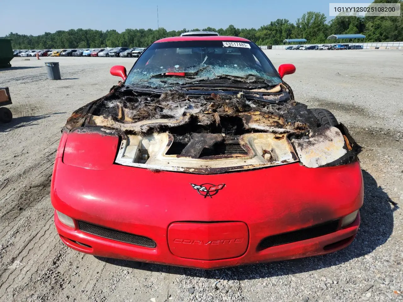 2002 Chevrolet Corvette Z06 VIN: 1G1YY12S025108200 Lot: 63517485