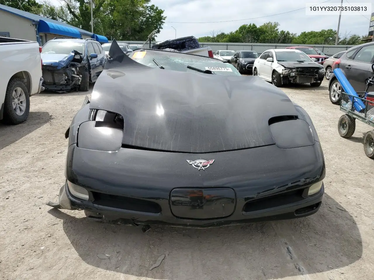 2003 Chevrolet Corvette VIN: 1G1YY32G735103813 Lot: 55896775