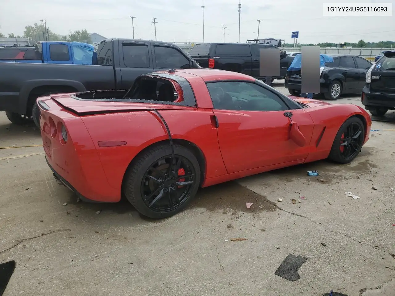 2005 Chevrolet Corvette VIN: 1G1YY24U955116093 Lot: 58514705