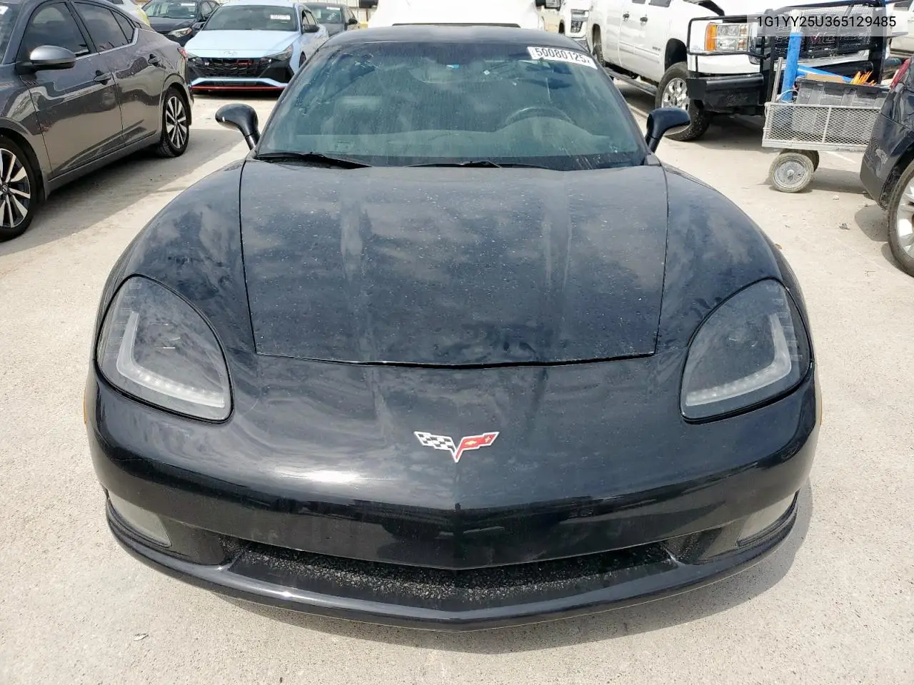 2006 Chevrolet Corvette VIN: 1G1YY25U365129485 Lot: 50080125