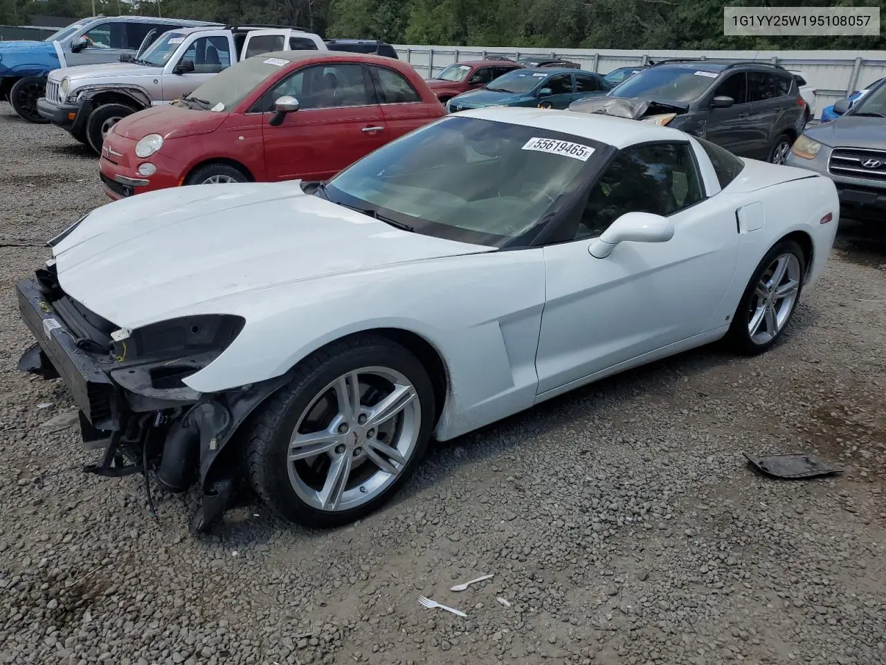 2009 Chevrolet Corvette VIN: 1G1YY25W195108057 Lot: 55619465
