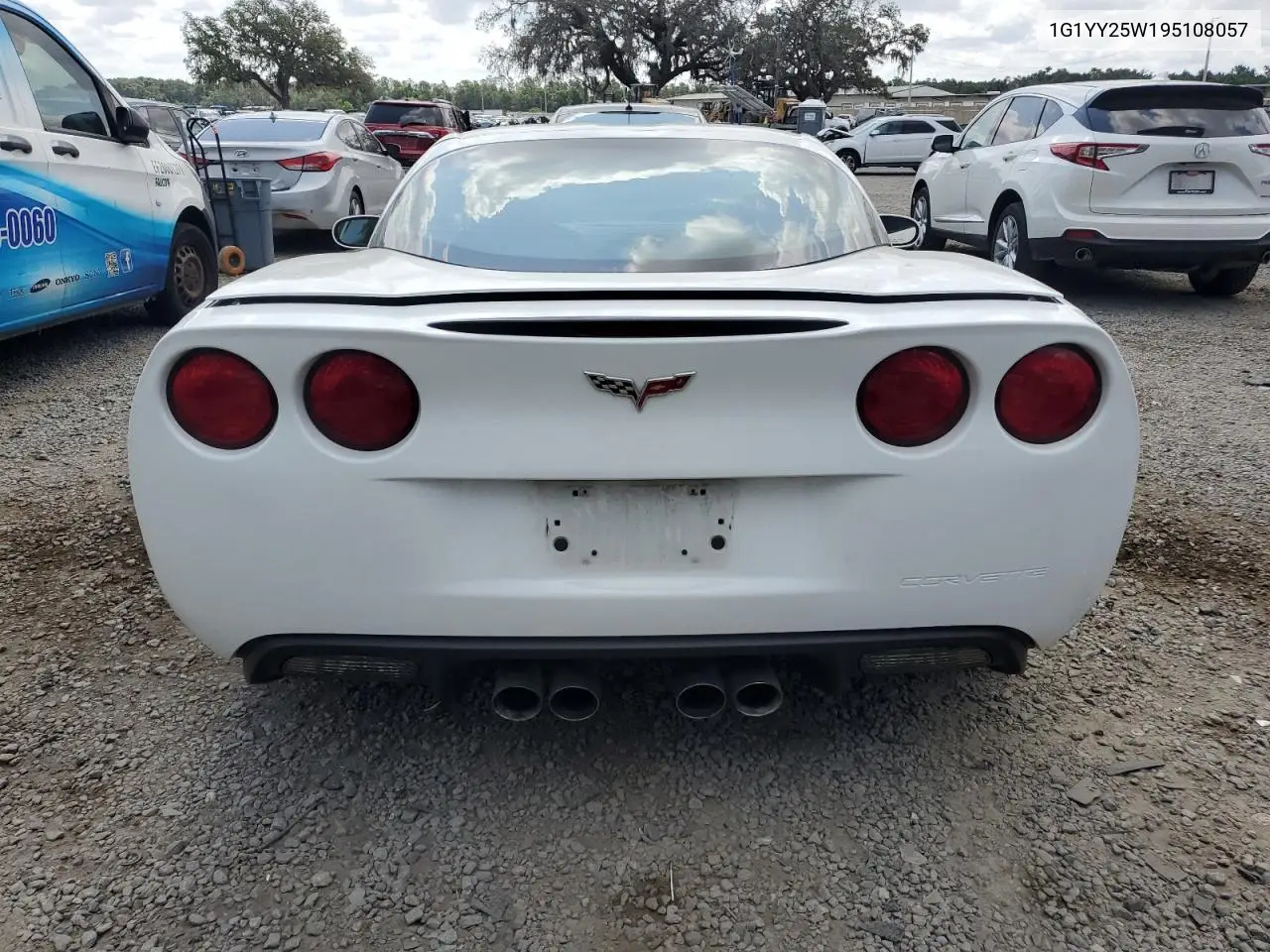 2009 Chevrolet Corvette VIN: 1G1YY25W195108057 Lot: 55619465