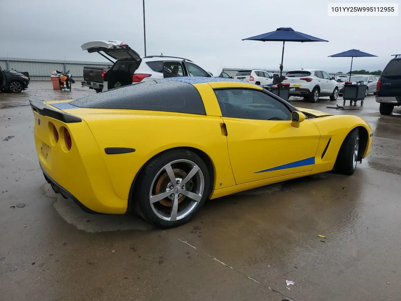 2009 Chevrolet Corvette VIN: 1G1YY25W995112955 Lot: 55928675