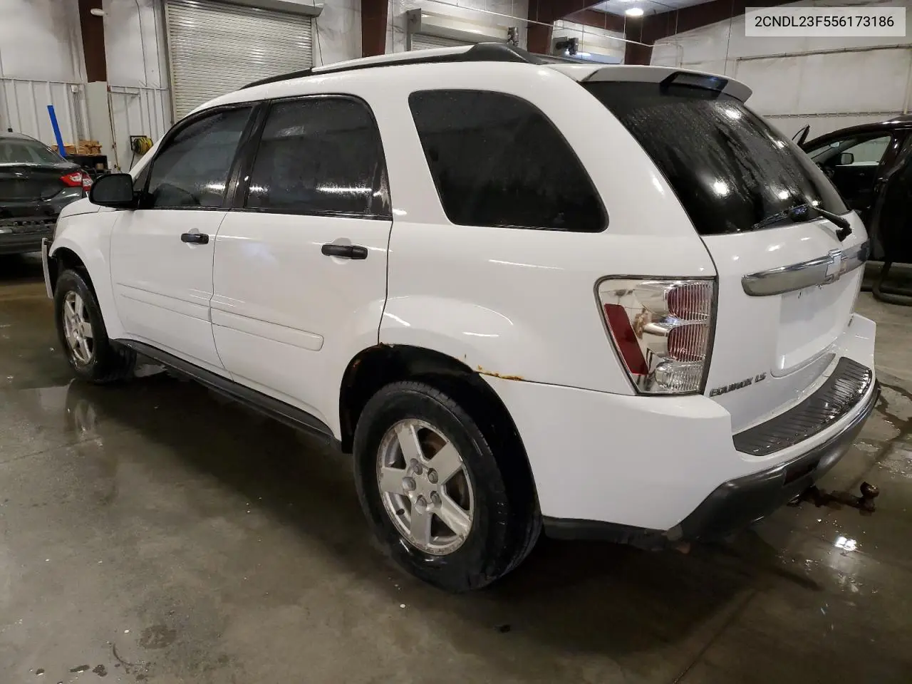 2005 Chevrolet Equinox Ls VIN: 2CNDL23F556173186 Lot: 55771575