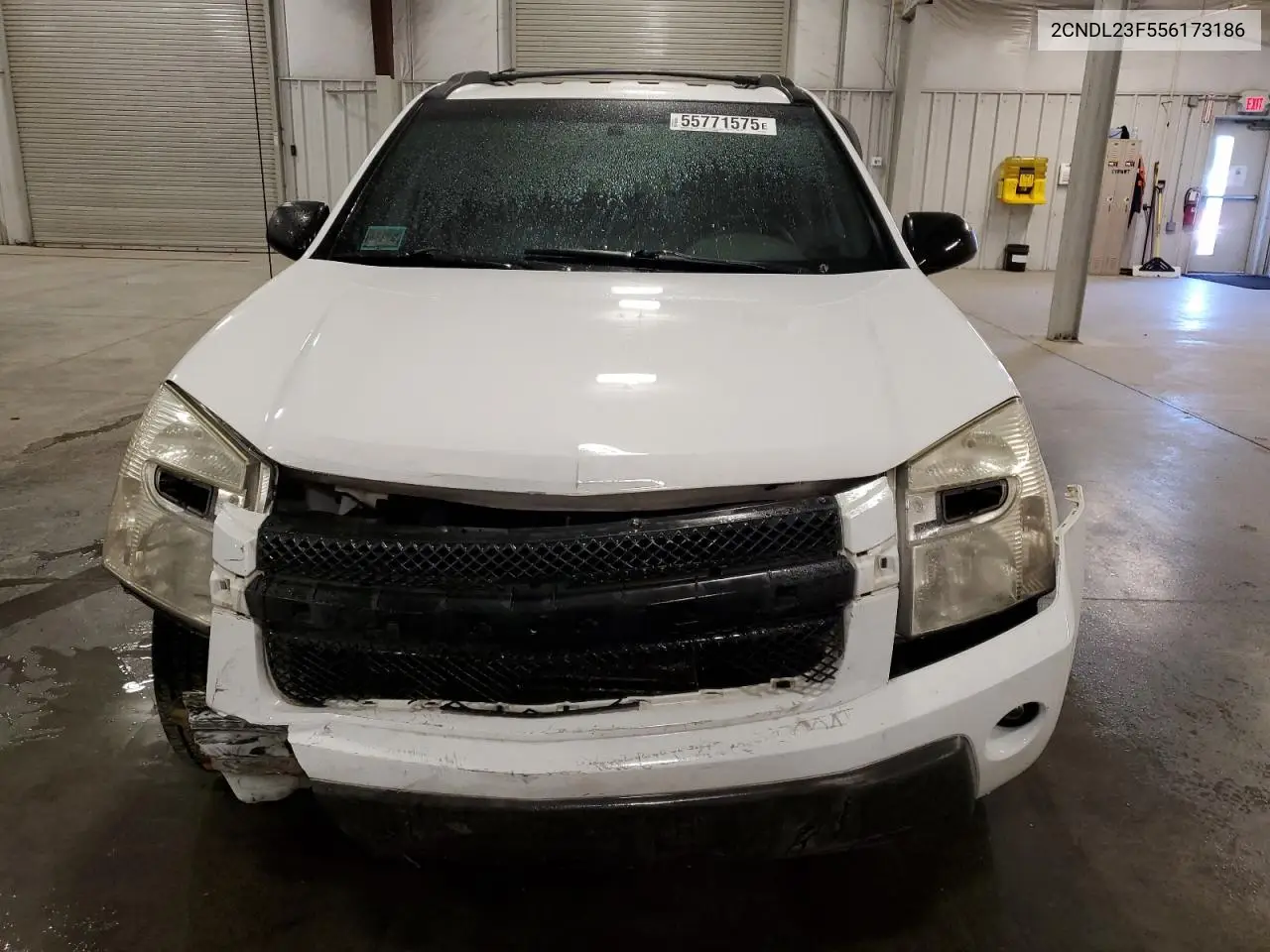 2005 Chevrolet Equinox Ls VIN: 2CNDL23F556173186 Lot: 55771575