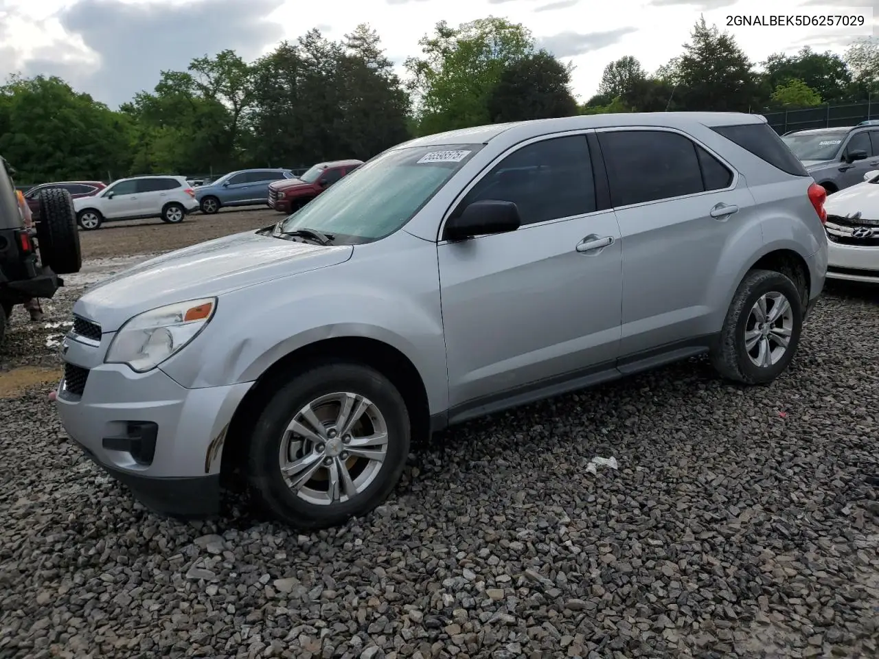 2013 Chevrolet Equinox Ls VIN: 2GNALBEK5D6257029 Lot: 56598575