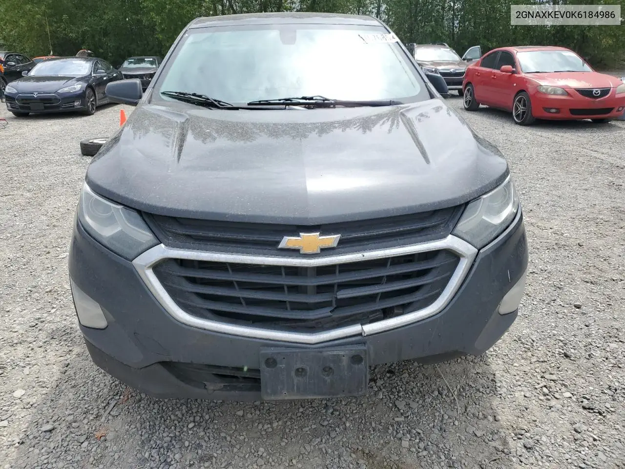 2019 Chevrolet Equinox Lt VIN: 2GNAXKEV0K6184986 Lot: 56107685