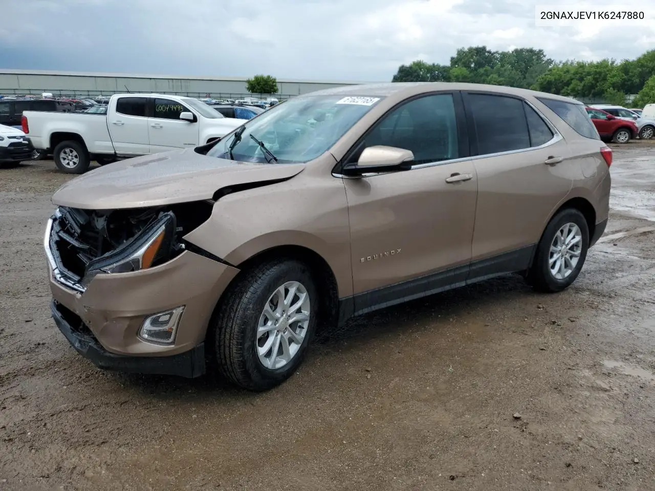 2019 Chevrolet Equinox Lt VIN: 2GNAXJEV1K6247880 Lot: 61622165