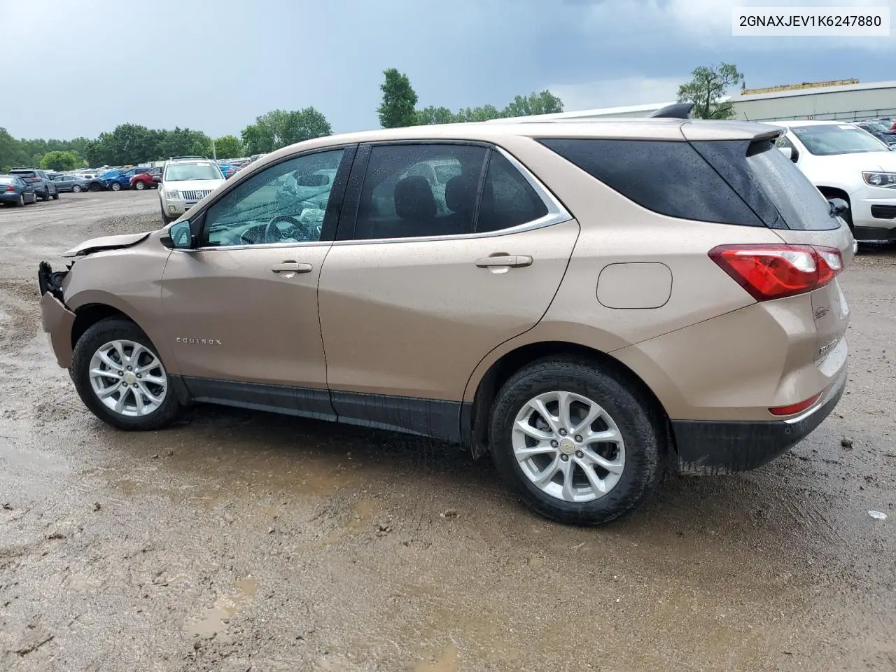 2019 Chevrolet Equinox Lt VIN: 2GNAXJEV1K6247880 Lot: 61622165