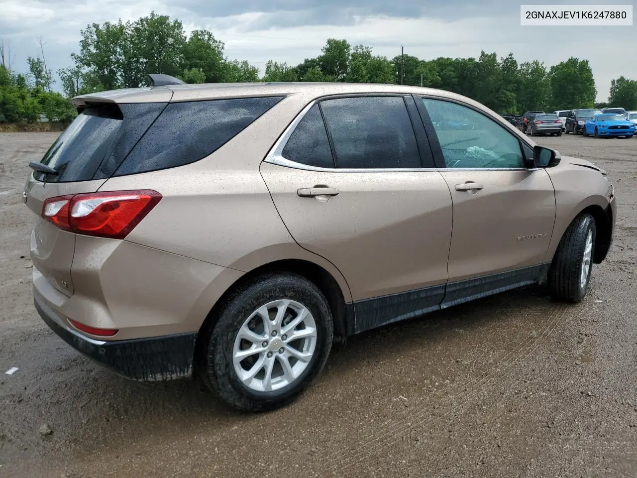 2019 Chevrolet Equinox Lt VIN: 2GNAXJEV1K6247880 Lot: 61622165