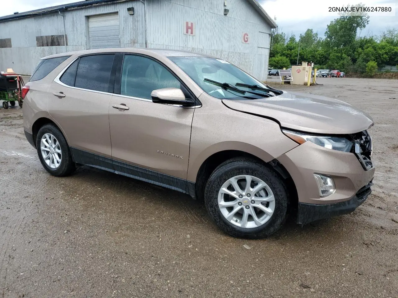 2019 Chevrolet Equinox Lt VIN: 2GNAXJEV1K6247880 Lot: 61622165