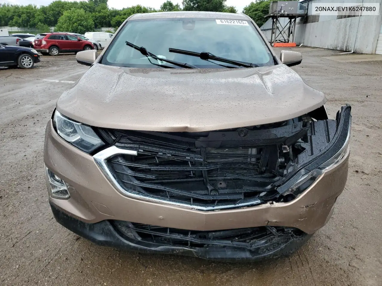 2019 Chevrolet Equinox Lt VIN: 2GNAXJEV1K6247880 Lot: 61622165