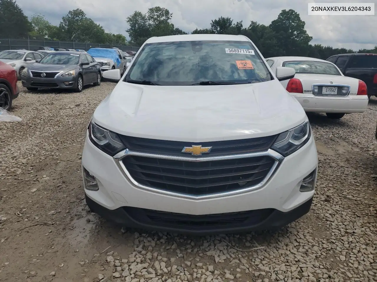 2020 Chevrolet Equinox Lt VIN: 2GNAXKEV3L6204343 Lot: 56897115