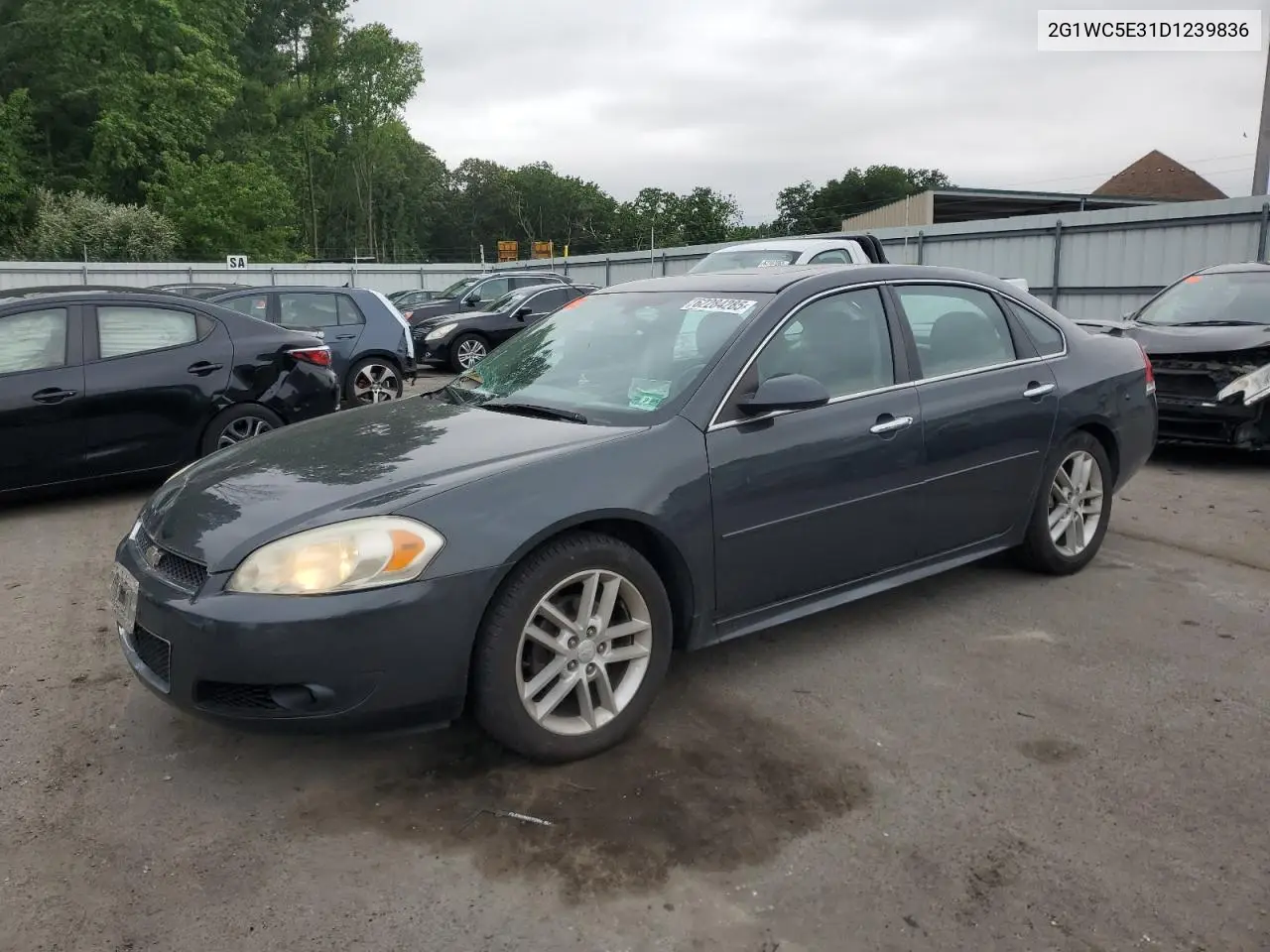 2013 Chevrolet Impala Ltz VIN: 2G1WC5E31D1239836 Lot: 62284285