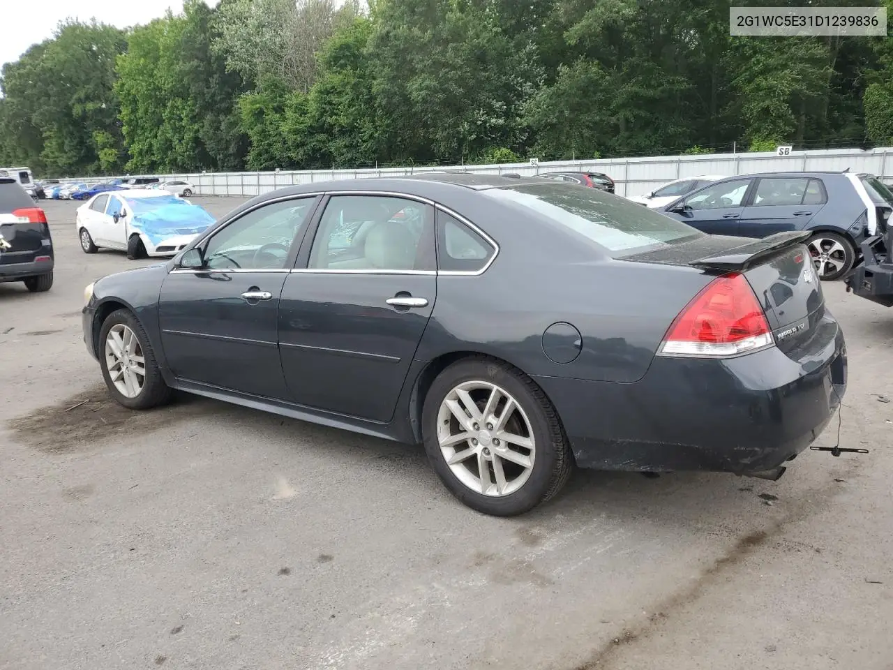 2013 Chevrolet Impala Ltz VIN: 2G1WC5E31D1239836 Lot: 62284285