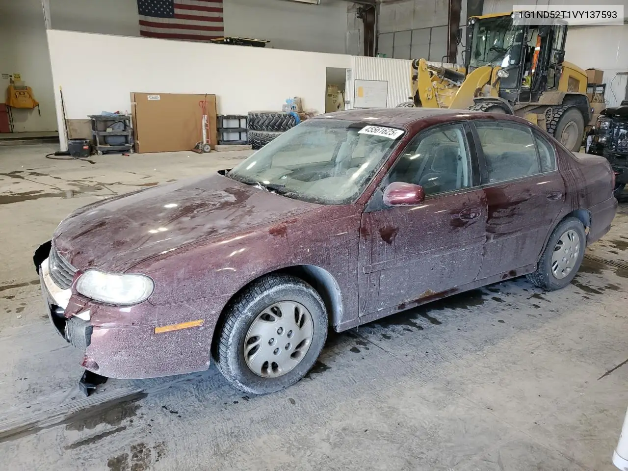 1997 Chevrolet Malibu VIN: 1G1ND52T1VY137593 Lot: 45561625