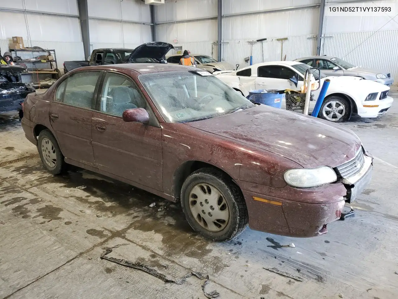 1997 Chevrolet Malibu VIN: 1G1ND52T1VY137593 Lot: 45561625