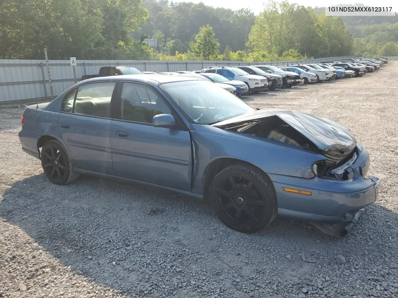 1999 Chevrolet Malibu VIN: 1G1ND52MXX6123117 Lot: 59486395