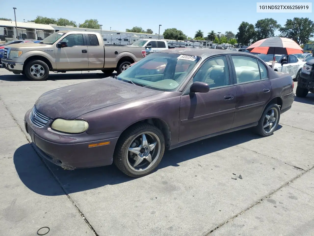1999 Chevrolet Malibu VIN: 1G1ND52TXX6256919 Lot: 64063815