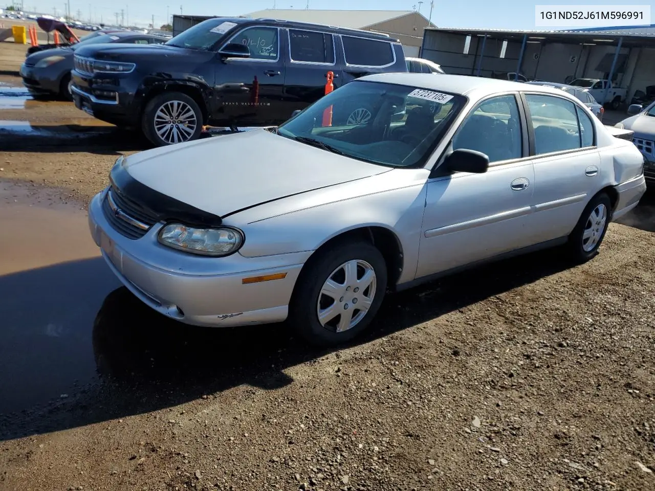 2001 Chevrolet Malibu VIN: 1G1ND52J61M596991 Lot: 57237105