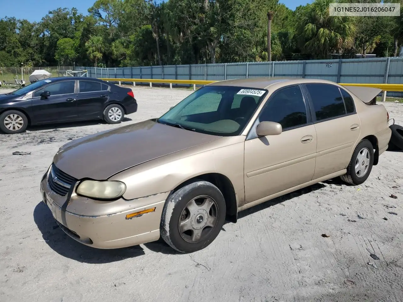 2001 Chevrolet Malibu Ls VIN: 1G1NE52J016206047 Lot: 60904525