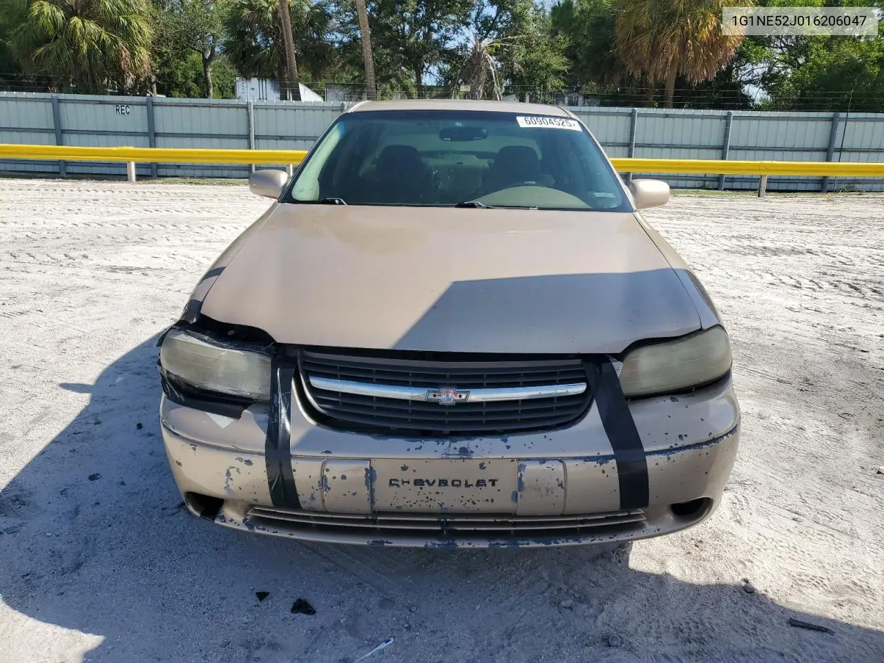 2001 Chevrolet Malibu Ls VIN: 1G1NE52J016206047 Lot: 60904525