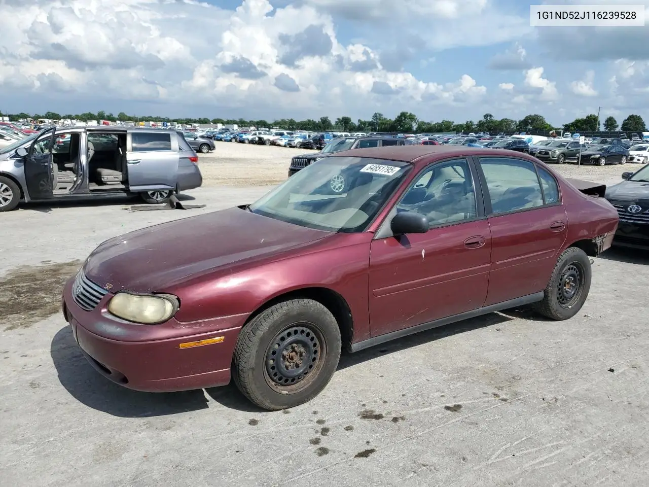 2001 Chevrolet Malibu VIN: 1G1ND52J116239528 Lot: 64851795