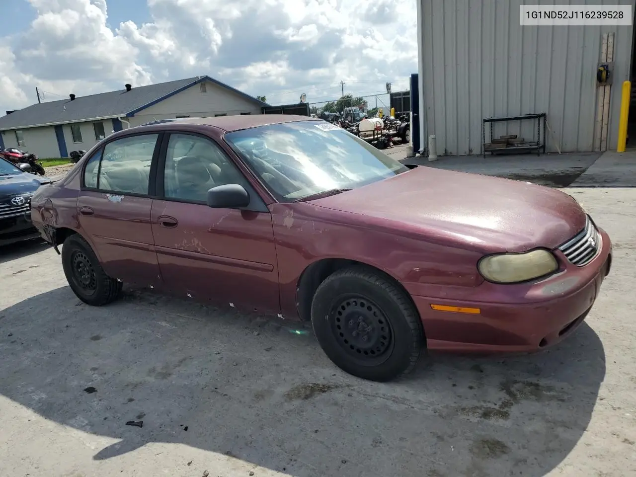 2001 Chevrolet Malibu VIN: 1G1ND52J116239528 Lot: 64851795