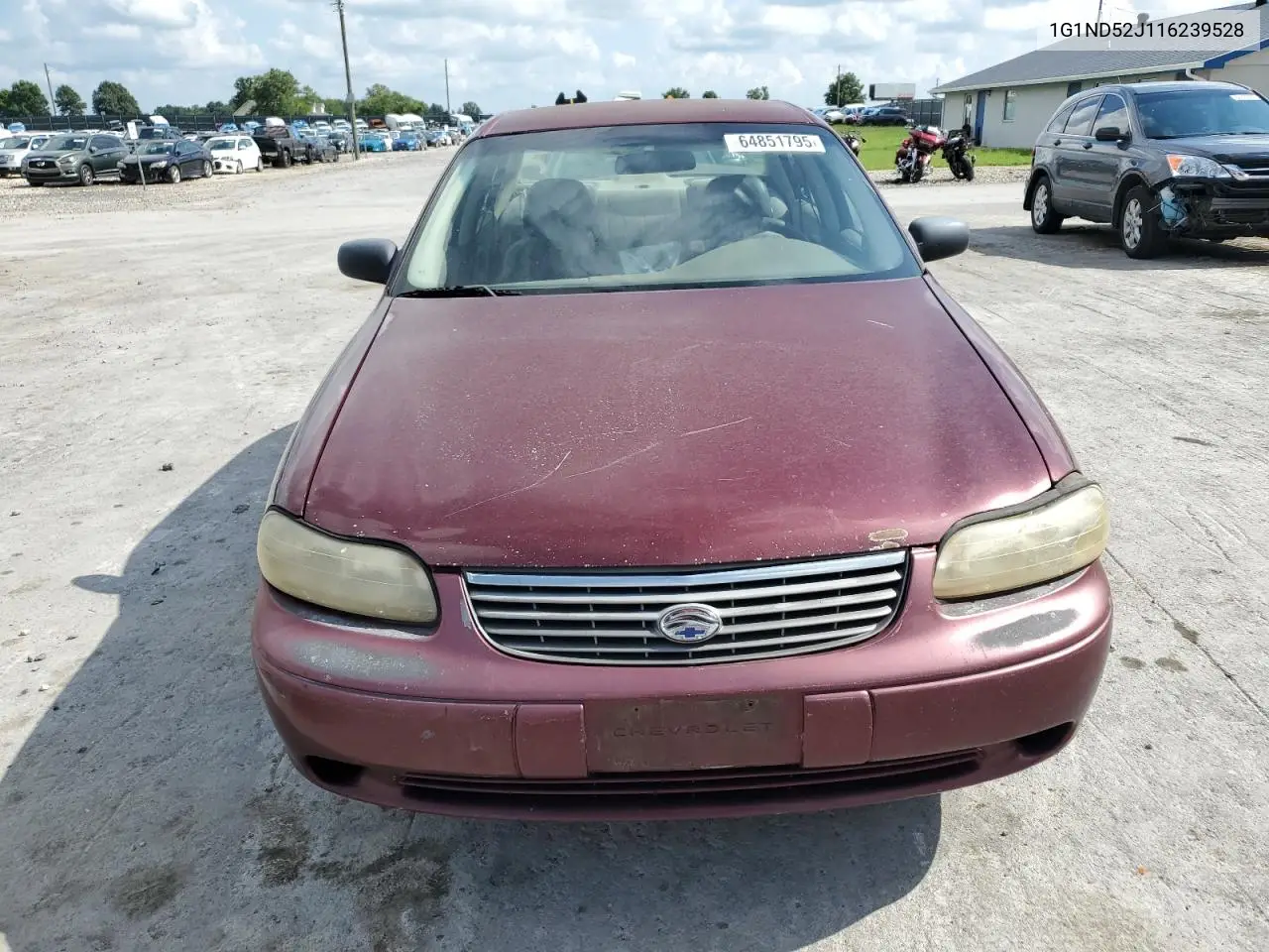 2001 Chevrolet Malibu VIN: 1G1ND52J116239528 Lot: 64851795