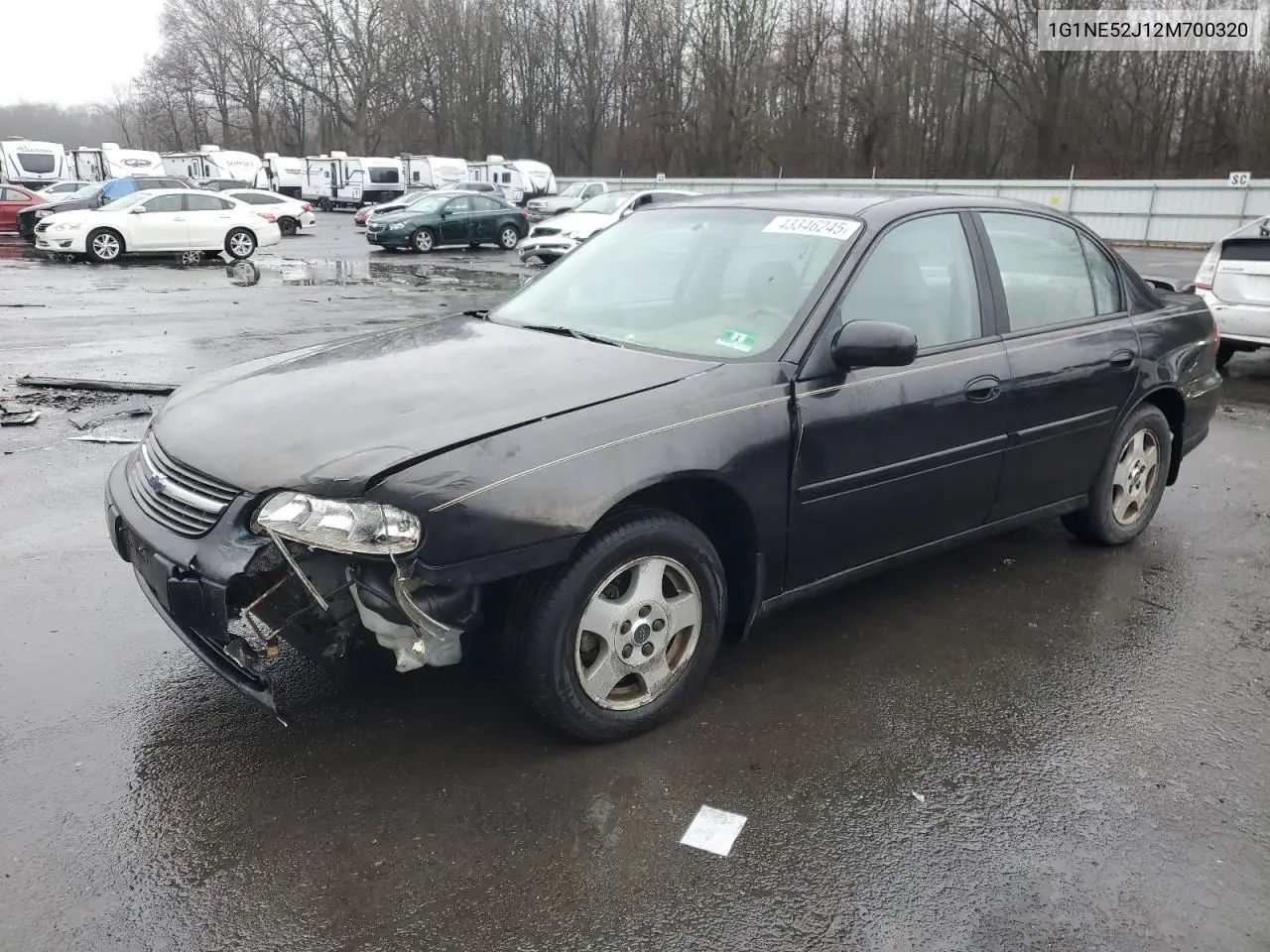 2002 Chevrolet Malibu Ls VIN: 1G1NE52J12M700320 Lot: 43346245