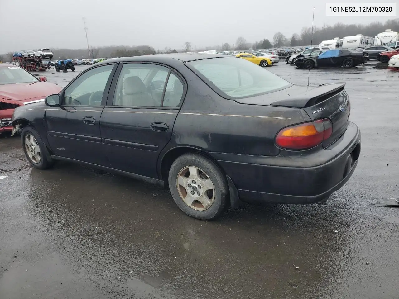 2002 Chevrolet Malibu Ls VIN: 1G1NE52J12M700320 Lot: 43346245