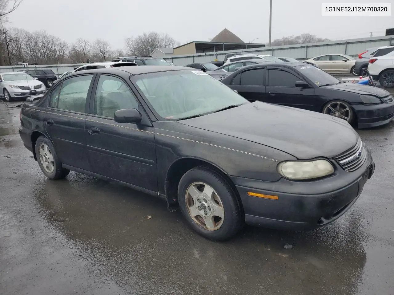 2002 Chevrolet Malibu Ls VIN: 1G1NE52J12M700320 Lot: 43346245
