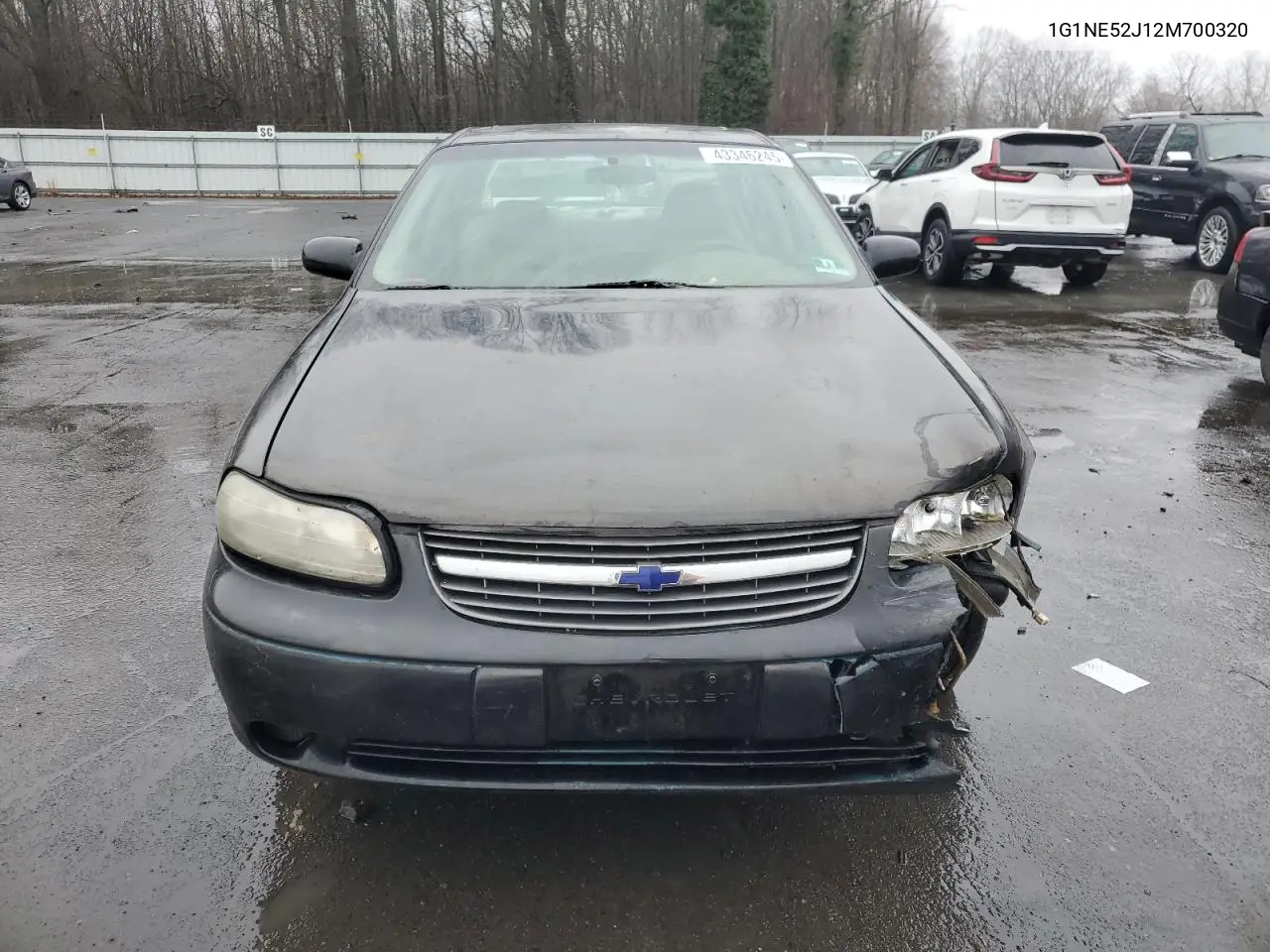 2002 Chevrolet Malibu Ls VIN: 1G1NE52J12M700320 Lot: 43346245