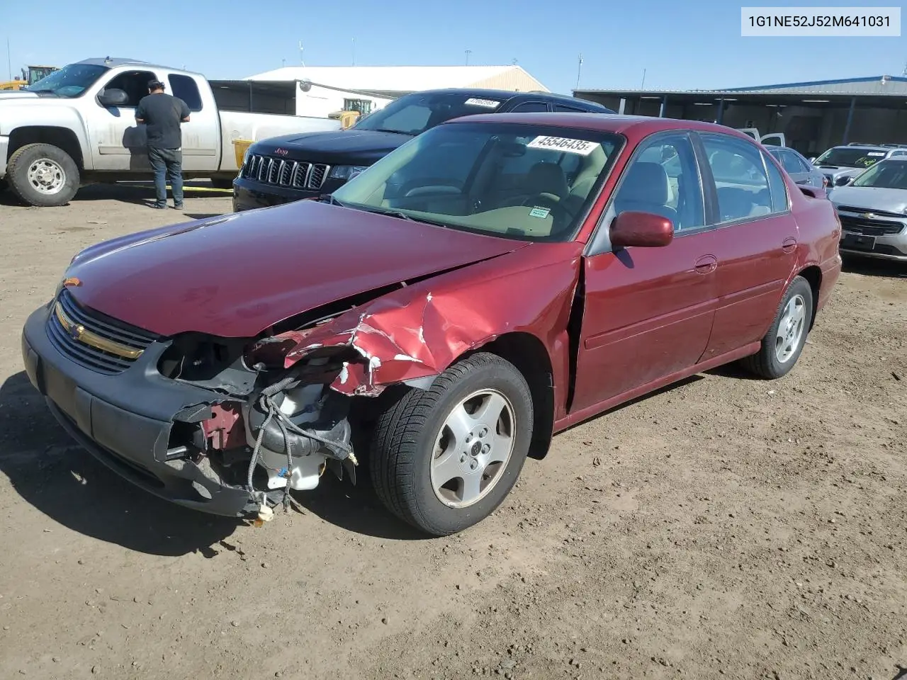 2002 Chevrolet Malibu Ls VIN: 1G1NE52J52M641031 Lot: 45546435