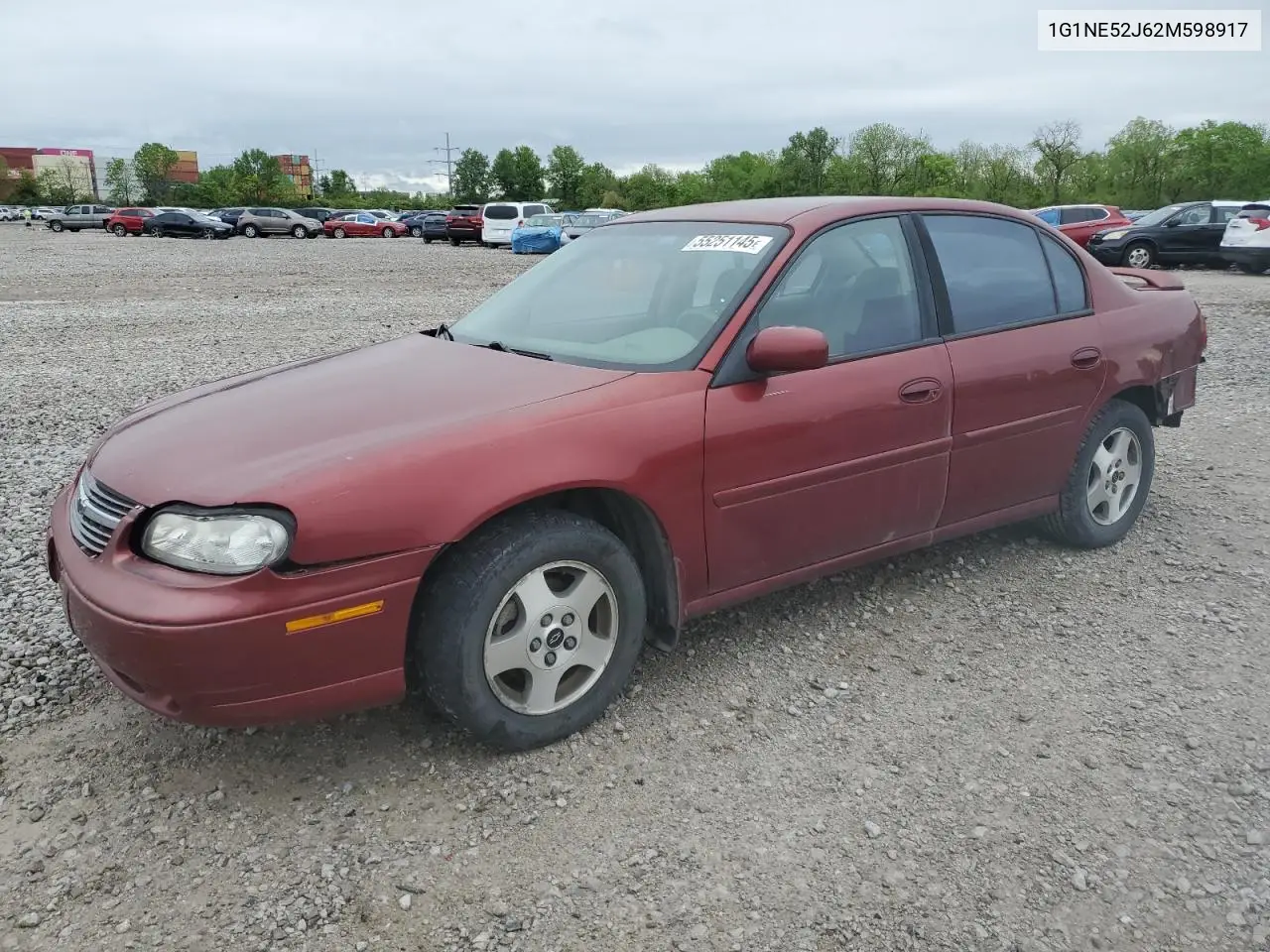 2002 Chevrolet Malibu Ls VIN: 1G1NE52J62M598917 Lot: 55251145